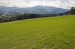 "Zielono mi... ".  Polana nad osiedlem Zwijacze, wrzesie 2008. Fot. Grzegorz arnowski (Krakw)