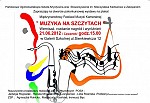 Nowy plakat "Muzyki na Szczytach"